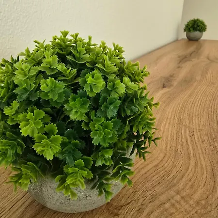 Geraeumige Mit Balkon, Kueche & Parkplatz Nahe Bahnhof Appartement *